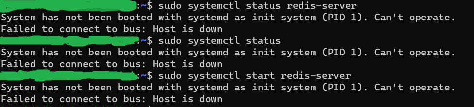 unable-to-start-redis-server-in-windows-wsl2-environment-questions